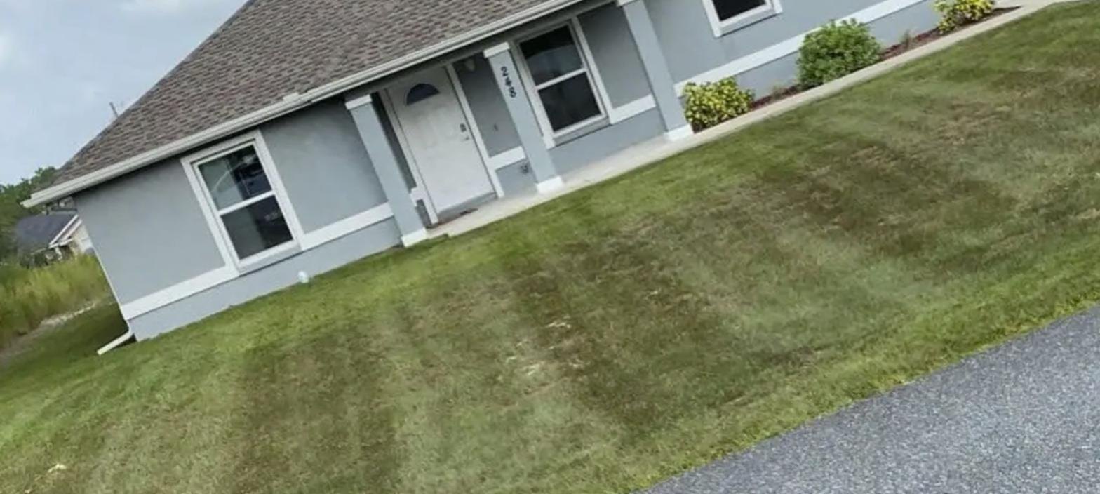 Freshly mowed and striped lawn at a Ocala and surrounding areas home